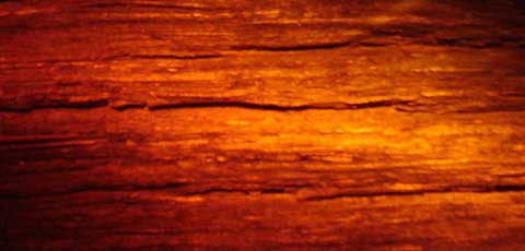 Laser Hologram of Noah's Ark Wood
