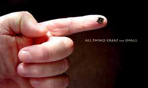 The world's smallest Bible